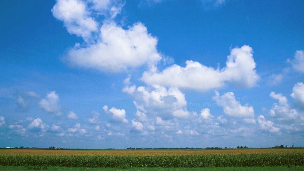 夏空