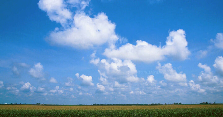 夏空